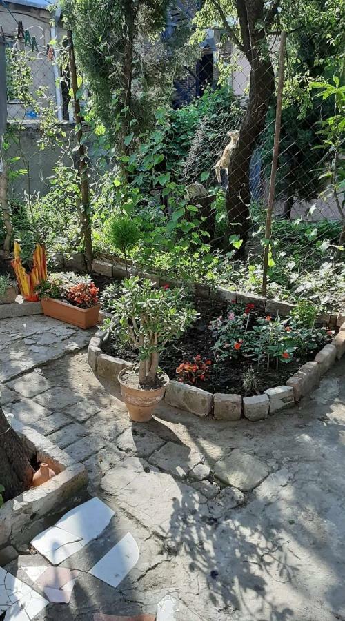 Newly Renovated House Apartment Tbilisi Bagian luar foto